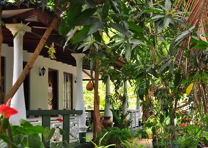 Sigiri Rock Side Home Stay
