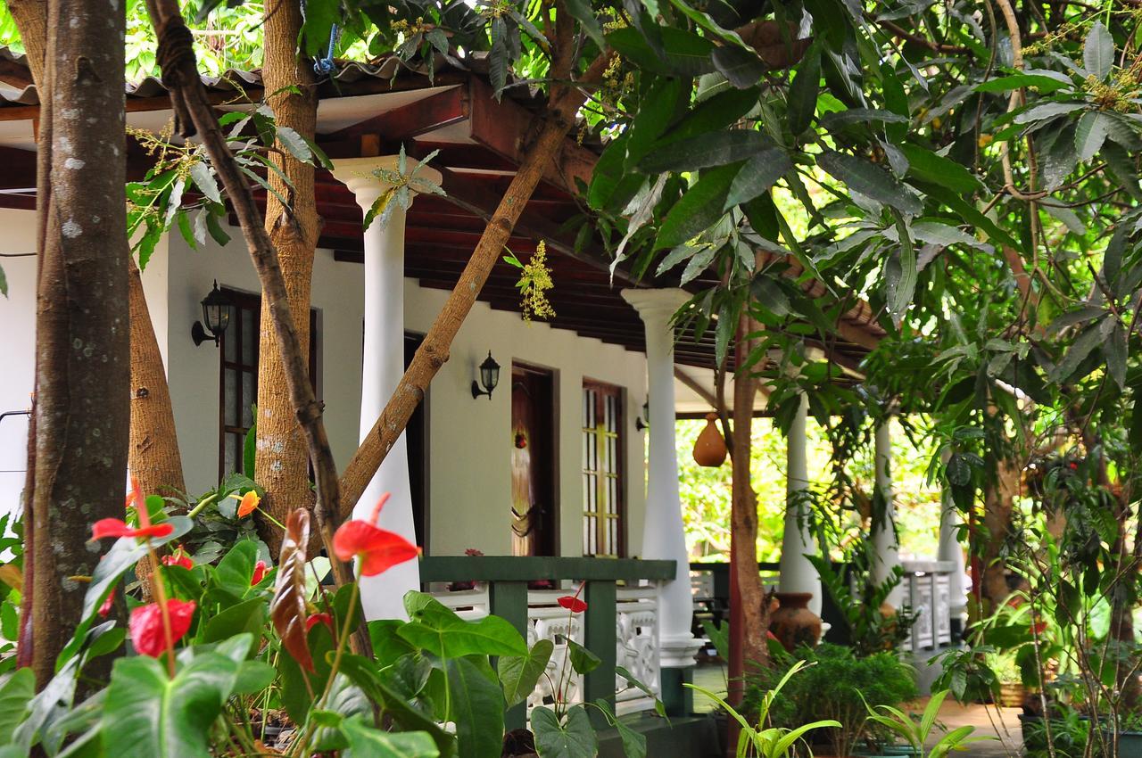 Homestay Sigiri Rock Side Sigiriya