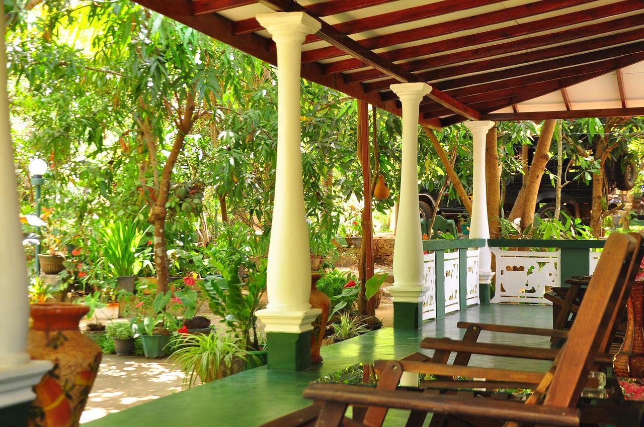 Sigiri Rock Side Homestay