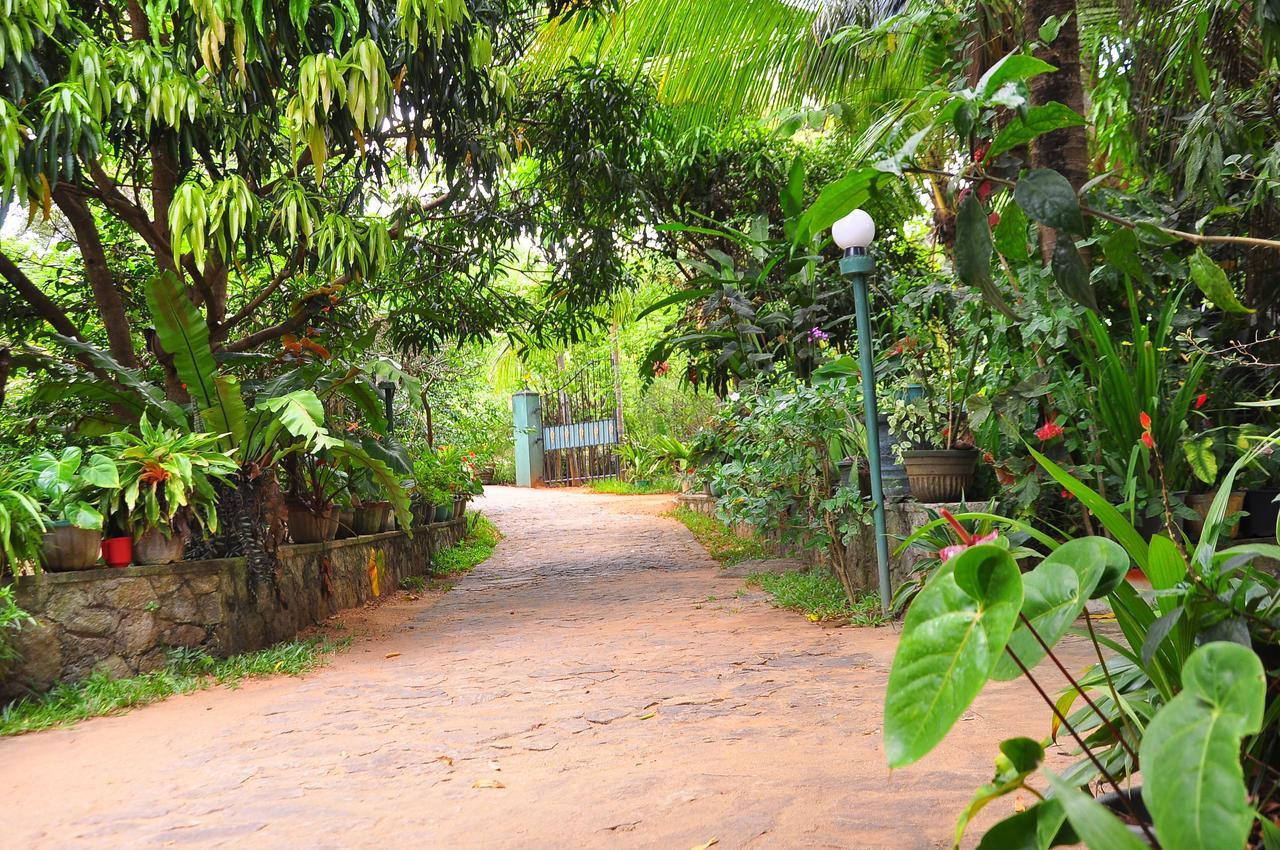 Sigiri Rock Side Homestay Sigiriya