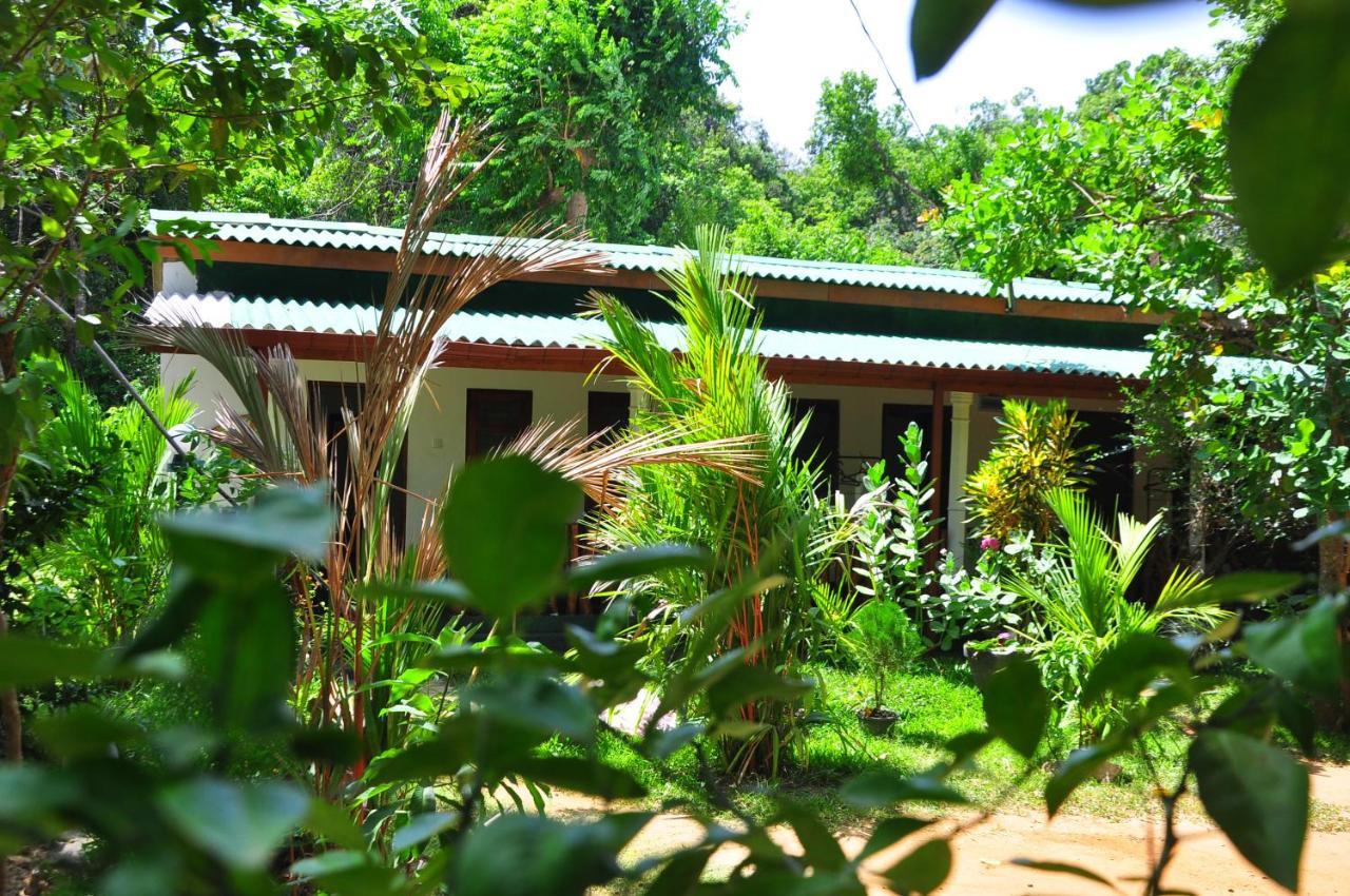 Homestay Sigiri Rock Side Sigiriya