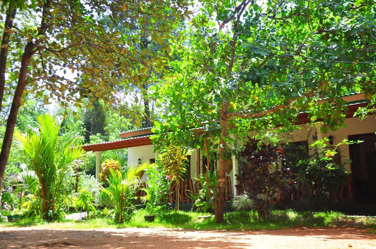 Homestay Sigiri Rock Side Sigiriya