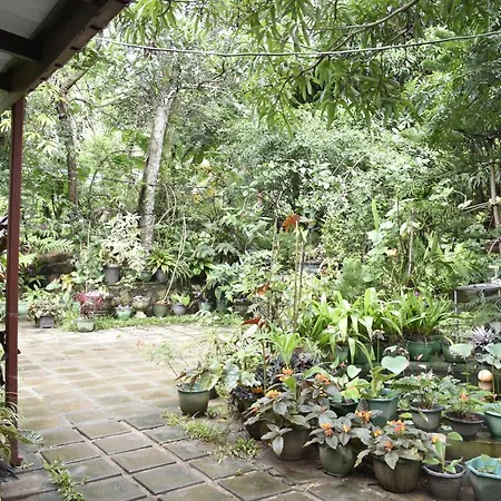 Sigiri Rock Side Home Stay Sigiriya Exterior photo