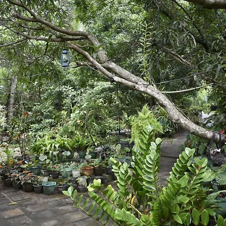 Sigiri Rock Side Home Stay Sigiriya Exterior photo