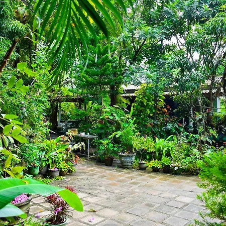 Sigiri Rock Side Home Stay Sigiriya Exterior photo
